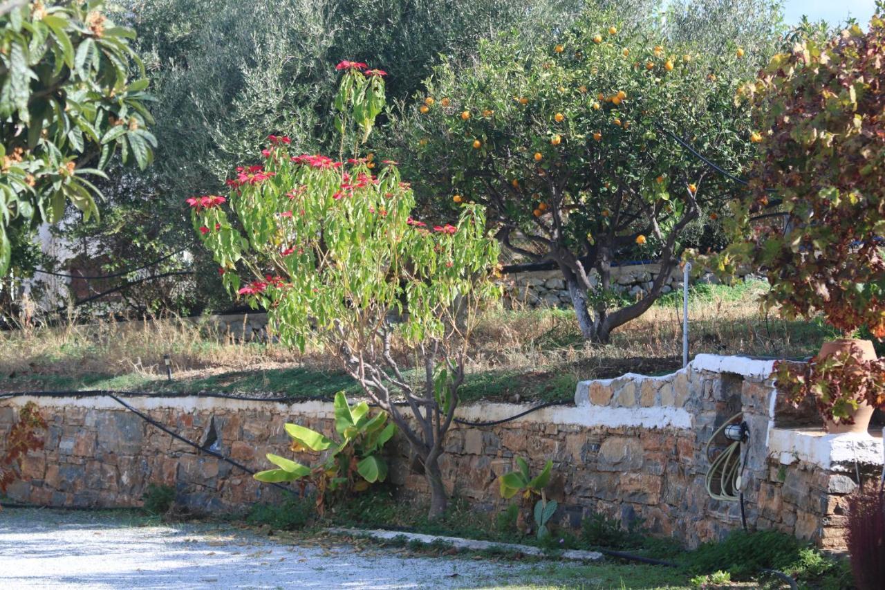 Kassandra Garden Residence Istro Exterior photo