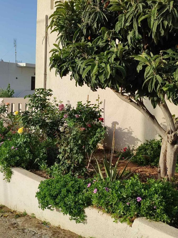 Kassandra Garden Residence Istro Exterior photo
